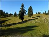 Za Ušivcem - Kapela Marije Snežne (Velika planina)